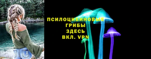 шишки Переславль-Залесский