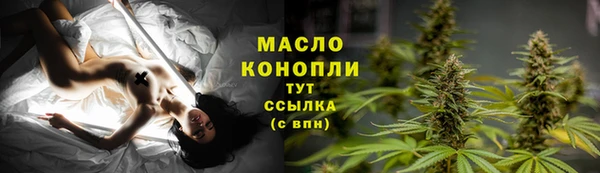 шишки Переславль-Залесский