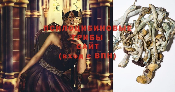 прущий лед Грязи
