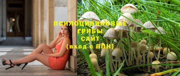 шишки Переславль-Залесский