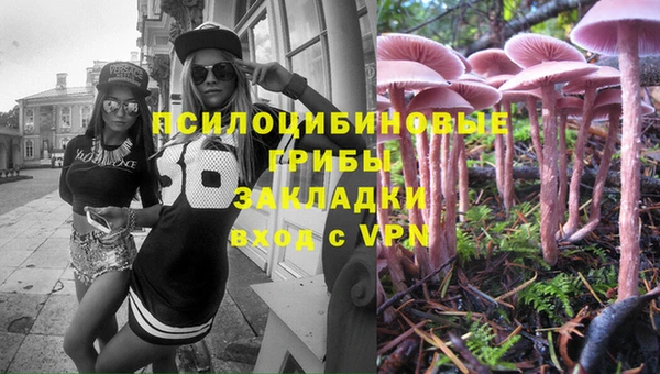 хмурый Пестово