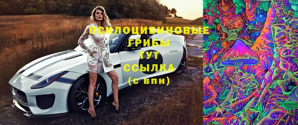 хмурый Пестово