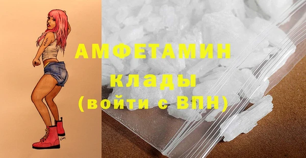 шишки Переславль-Залесский