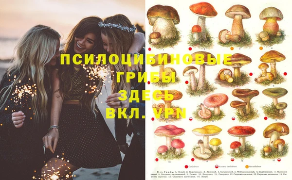 хмурый Пестово