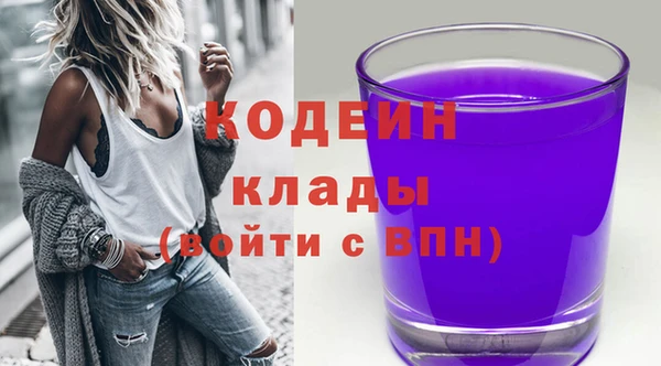шишки Переславль-Залесский
